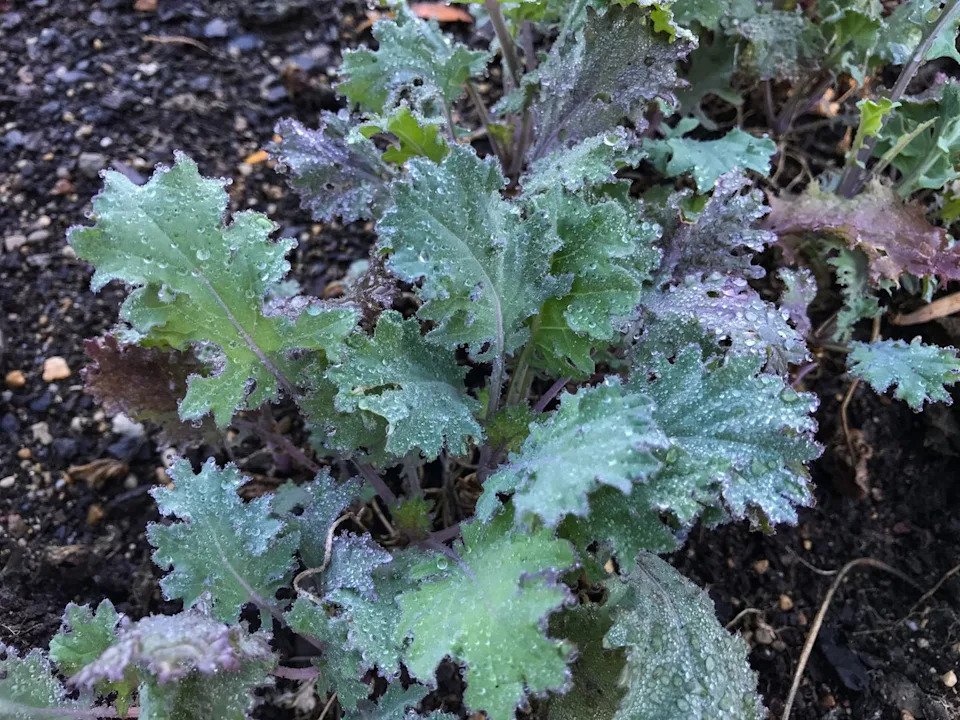 Photo credit: RifatHasina - Getty Images