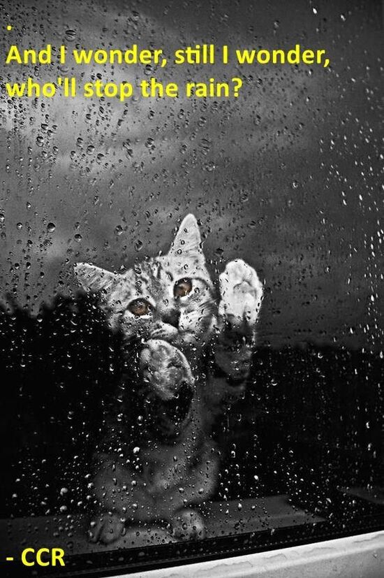 2d561604c4182ae46ad49374e9a6aced.jpg 2d561604c4182ae46ad49374e9a6aced.jpg