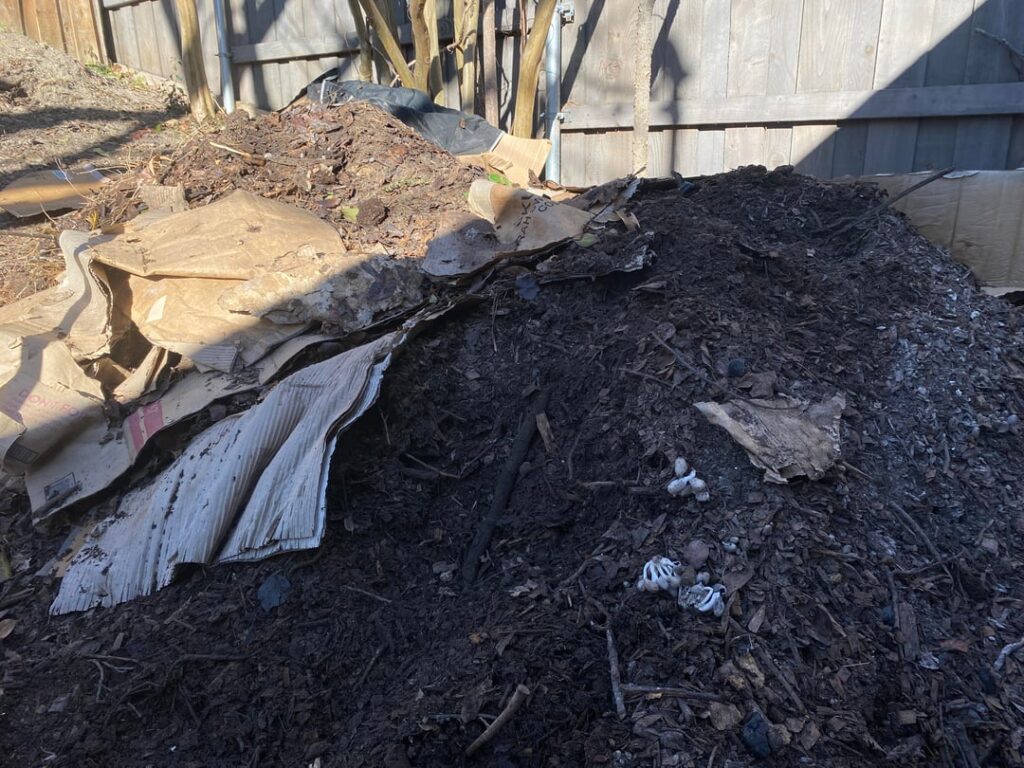 Are these mushrooms good in my compost? Are these mushrooms good in my compost?