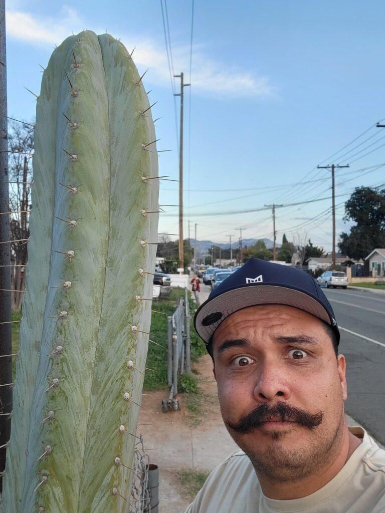 Little ole' 6ft me thinking Id able to transplant these to their new home in a timely fashion