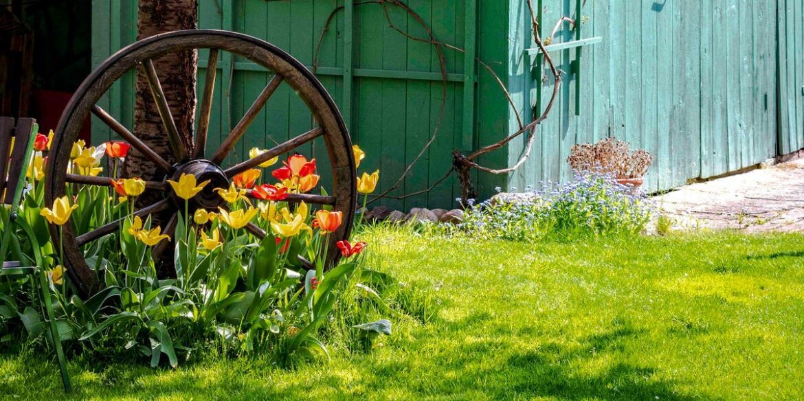 3 February Garden Tasks for Better Spring Blooms