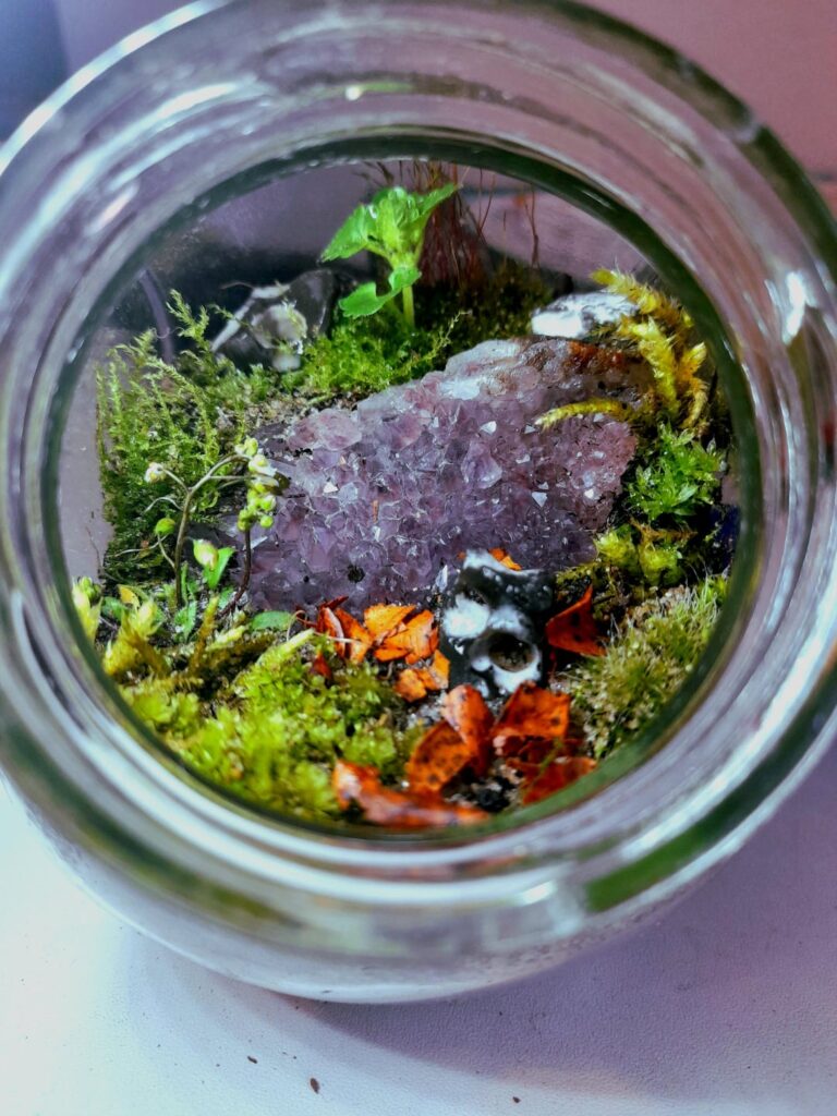 The crystal