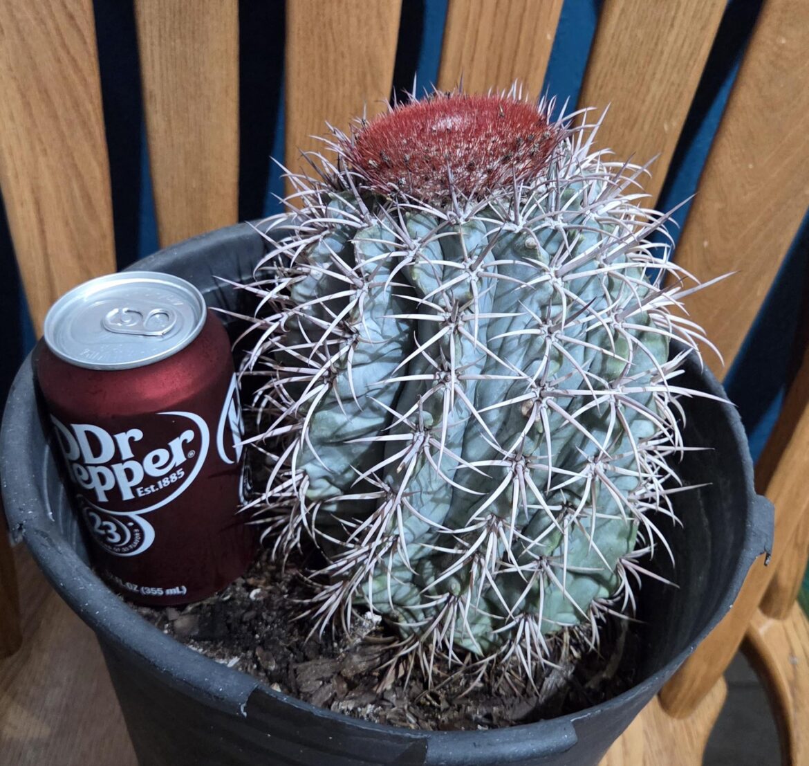 Worth 60$? cuz I paid it...