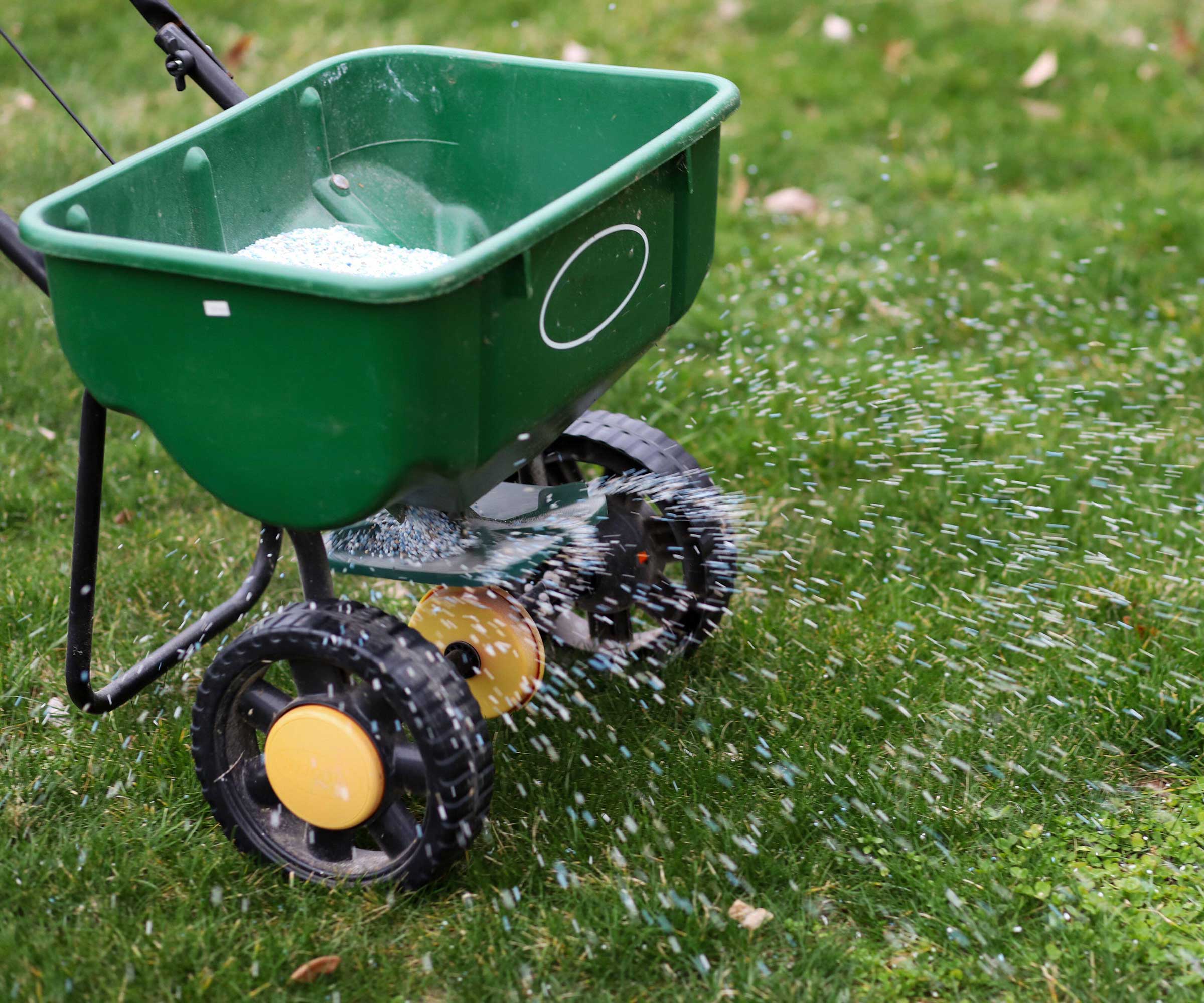 fertilizing a lawn