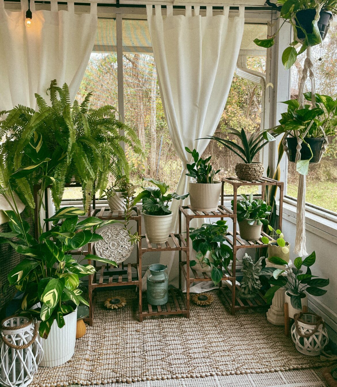 Little corner of happiness 🪴🫶🏻