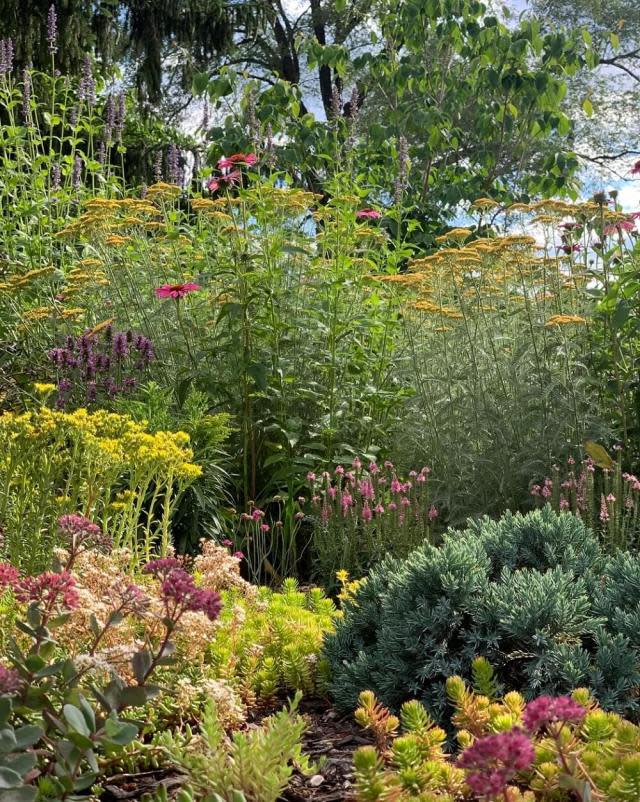 A former property owner posted vibrant photos of a lush garden they had to leave behind and said "missing my garden."