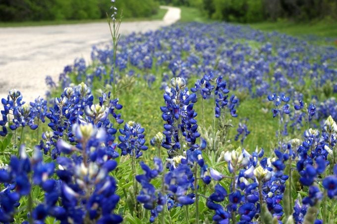 308342153 1 Holly Runyon Bnb Pc 2022