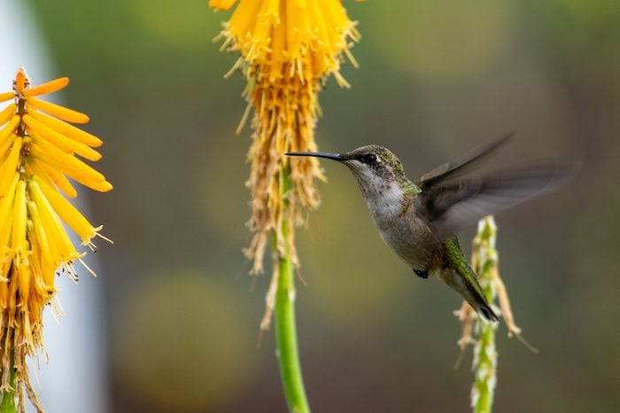 310020774 1 Amy Phillips Bnb Pc 2022