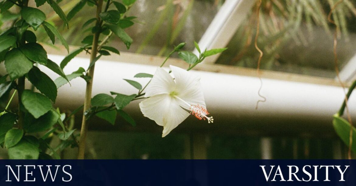 Botanic Garden uses AI for interactive ‘Talking Plants’ exhibition