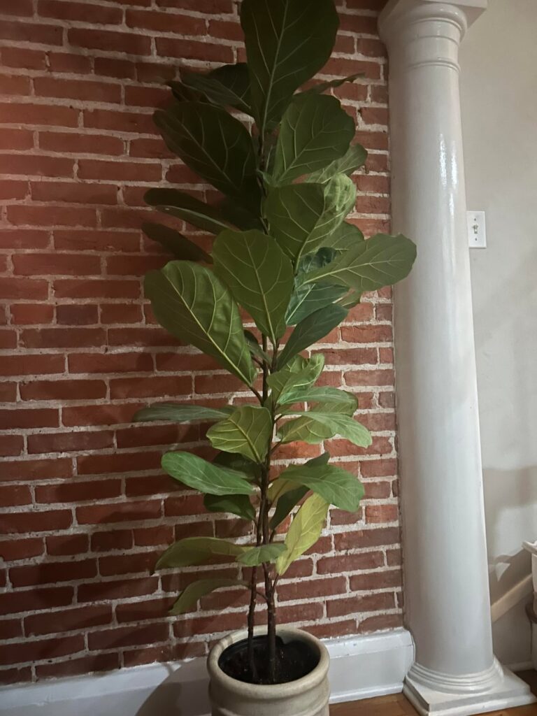 Want to fork FLF, where to cut? Want to fork FLF, where to cut?