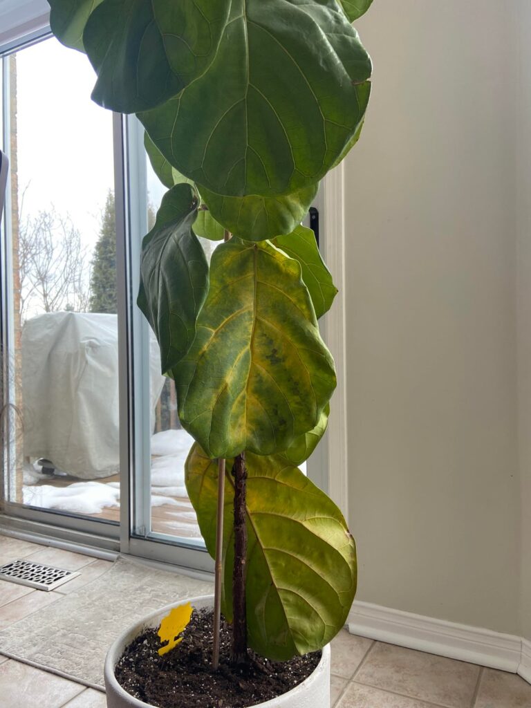 Should I repot now? Should I repot now?