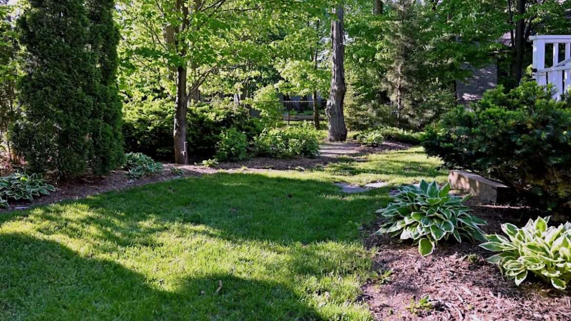 Gardener captures stunning video of 'cute' yard visitor: 'I love seeing you'