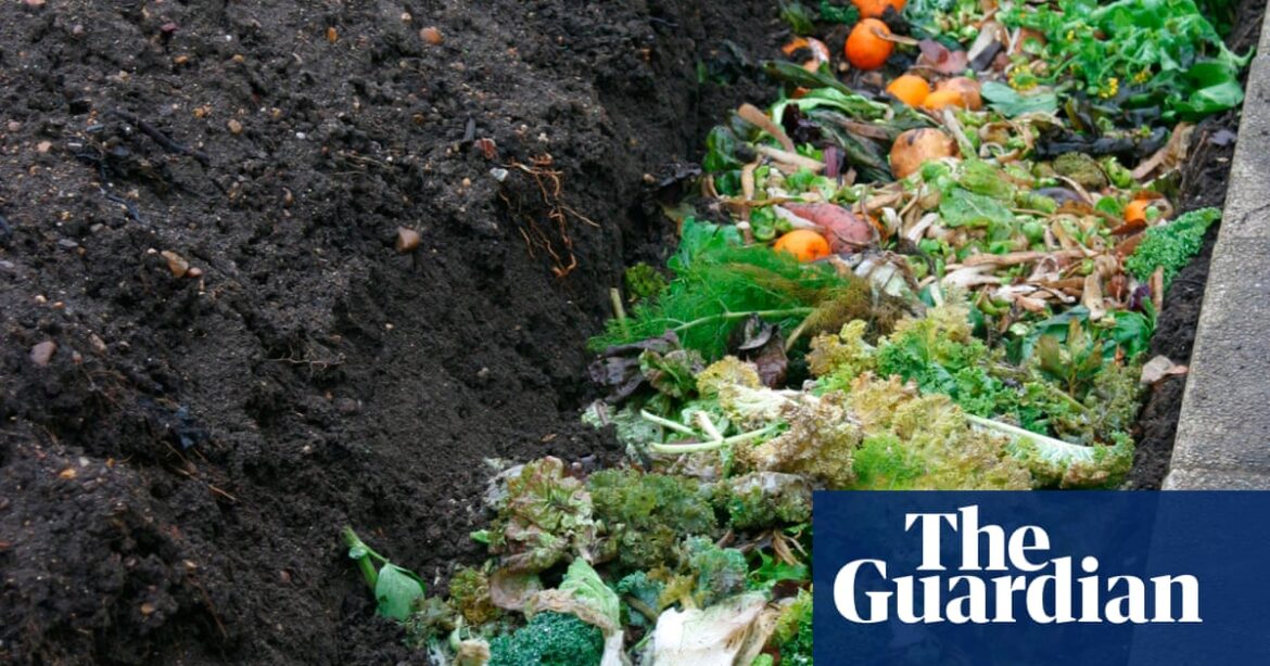 Composting for your garden? This ancient method requires minimal effort | Gardening advice Composting for your garden? This ancient method requires minimal effort | Gardening advice