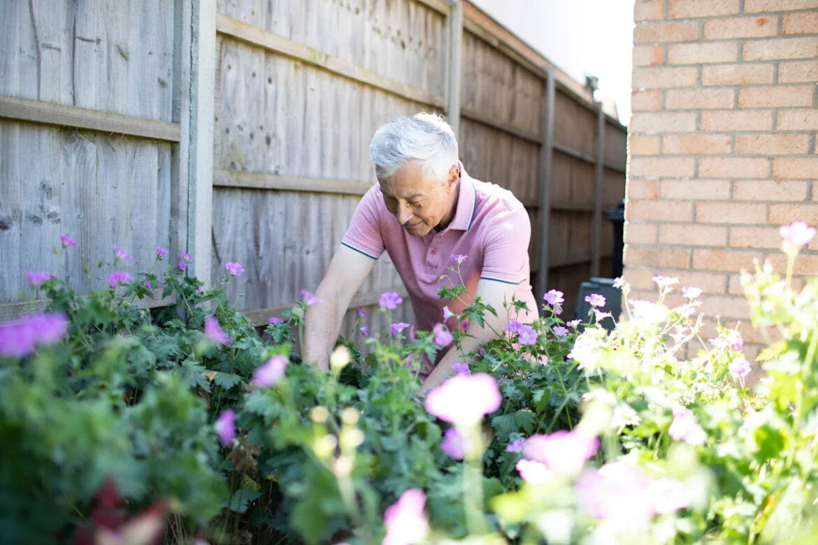 4 key garden jobs to tackle before March ends 4 key garden jobs to tackle before March ends