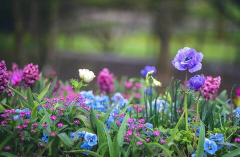 Local Notes: Upcoming events, quiz night, congratulations, Garden Gala and more – Community Local Notes: Upcoming events, quiz night, congratulations, Garden Gala and more - Community