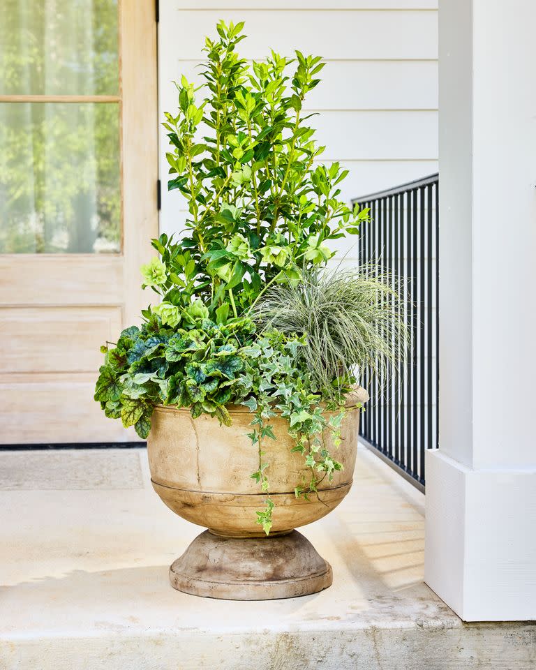 Robbie Caponetto; Styling: Buffy Hargett Miller