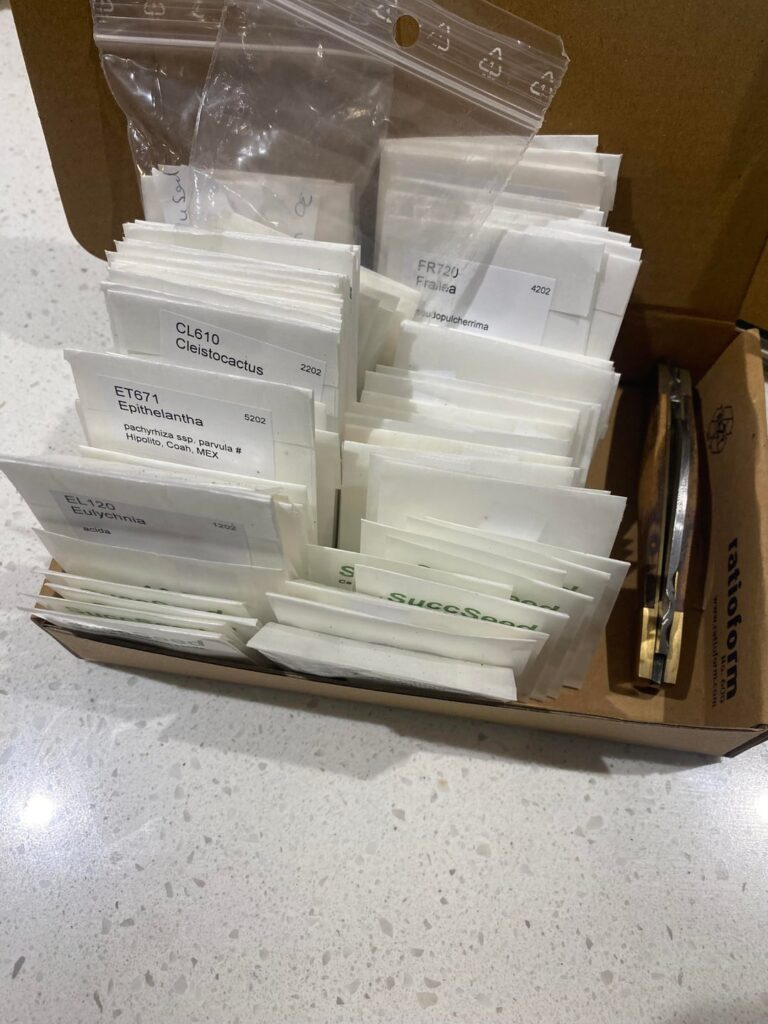 Nothing better than sowing seedlings! Excuse the crowding in the last one - germination was considerably better than expected.