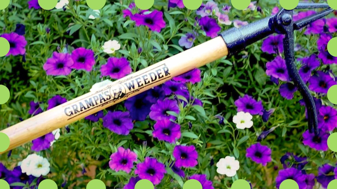 This clever weeder ‘saves your back’ — get it on sale for a rare $36 while you can This clever weeder 'saves your back' — get it on sale for a rare $36 while you can