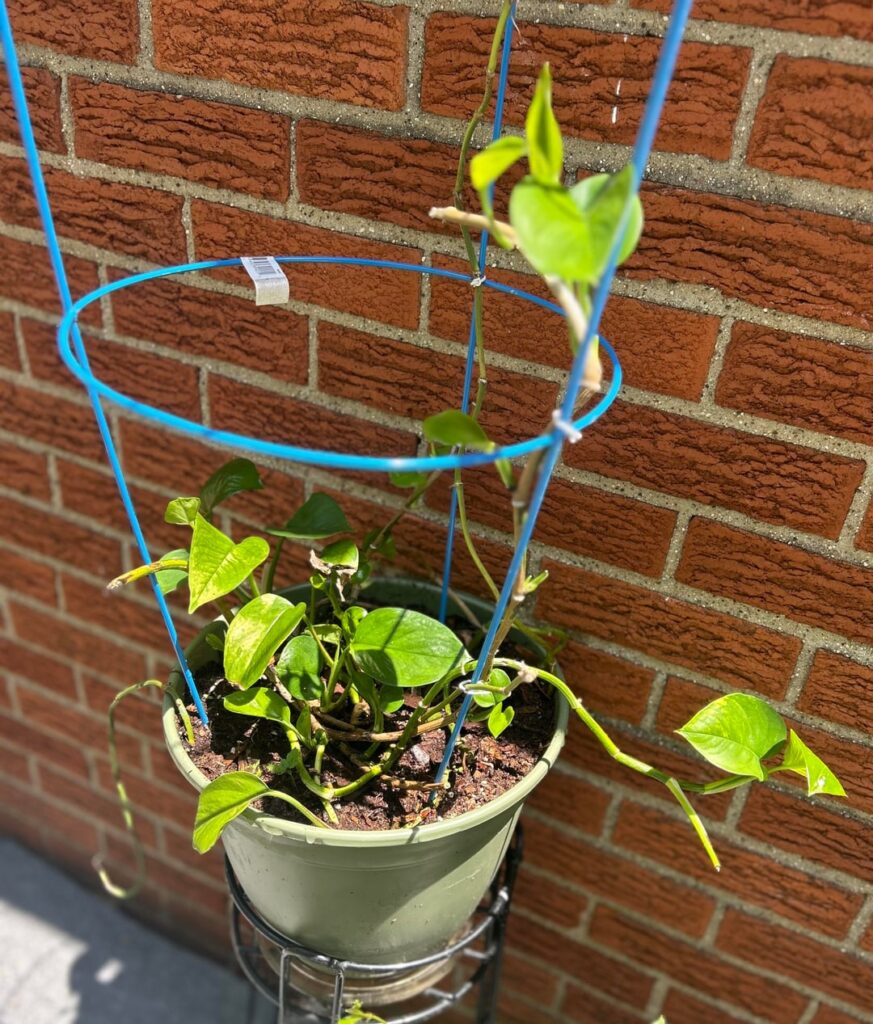 How it started vs. How it’s going