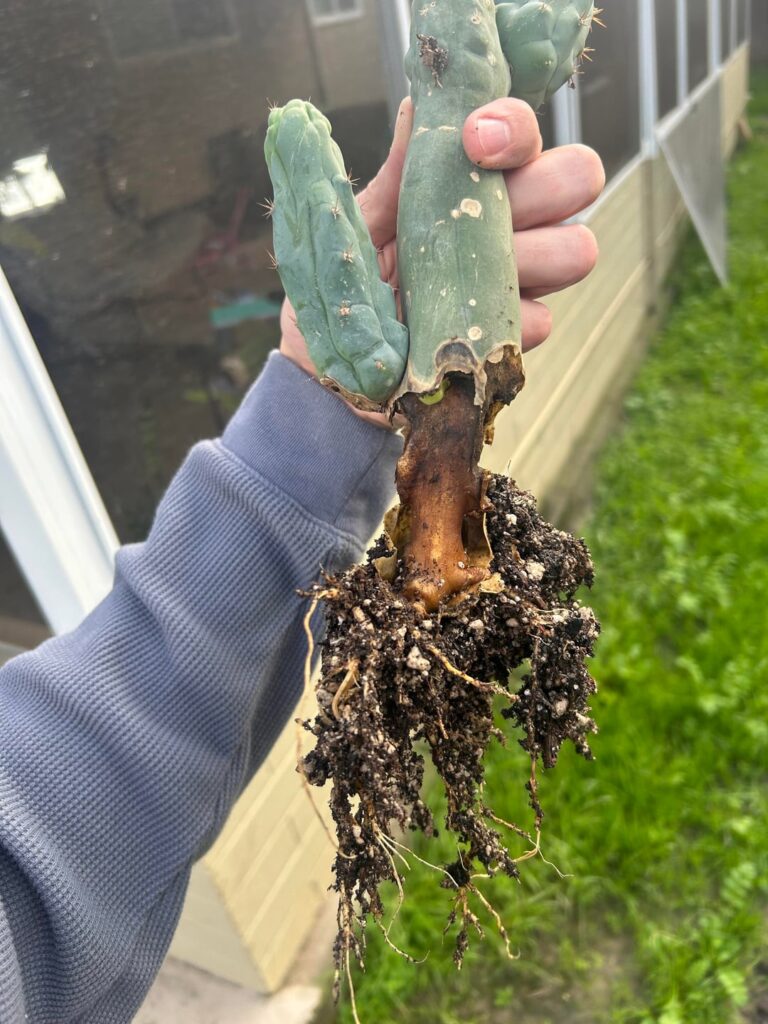 Yall seen this before? Yall seen this before?