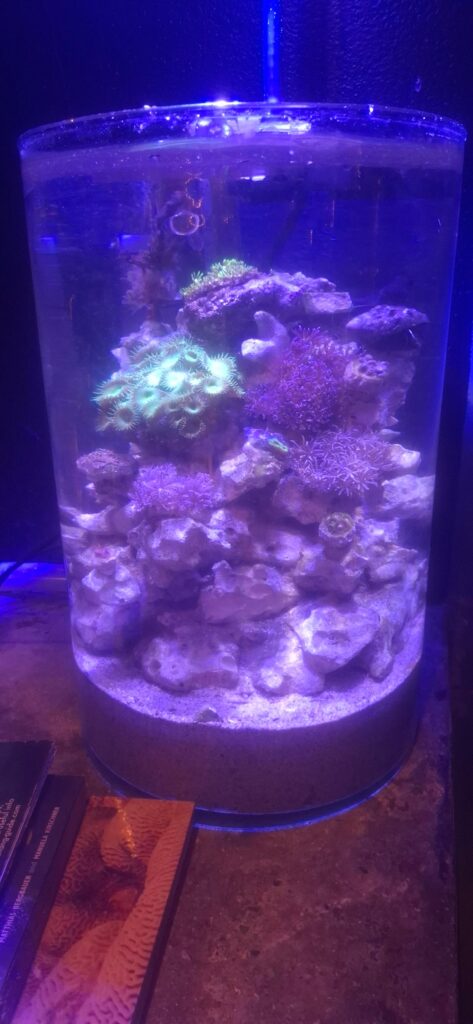 20L reef jar