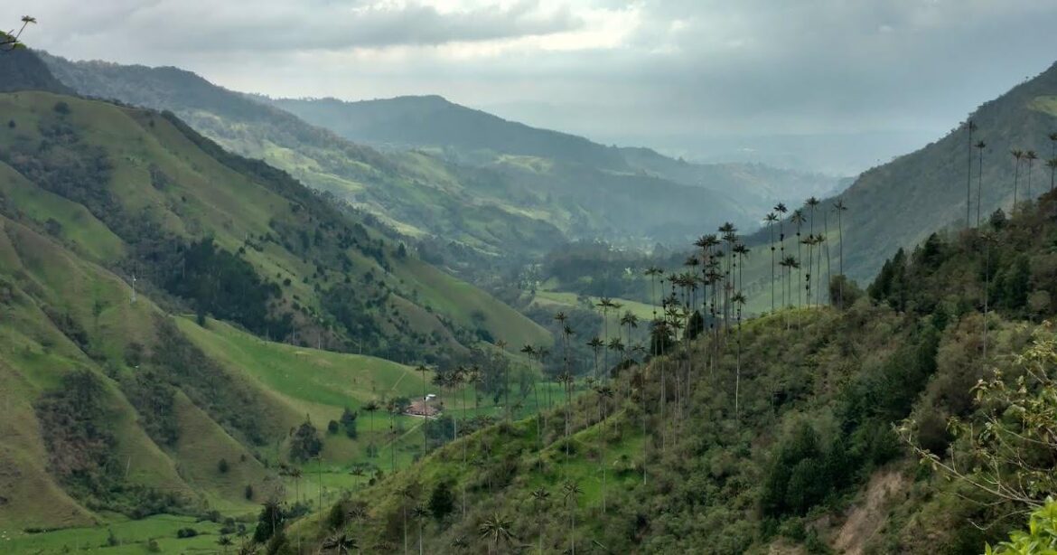 The Breathtaking Cocora Valley of Colombia + the Quindio Wax Palm