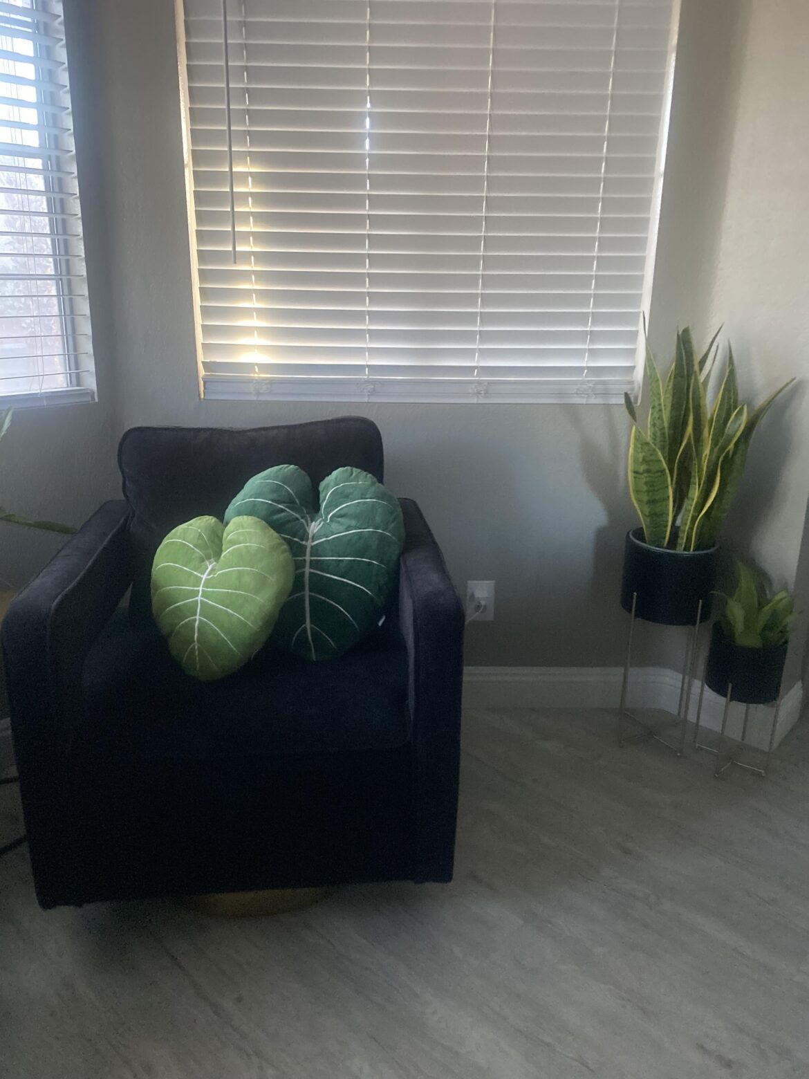 Just wanted to show off my new accent pillows 🤣 u may carry on.