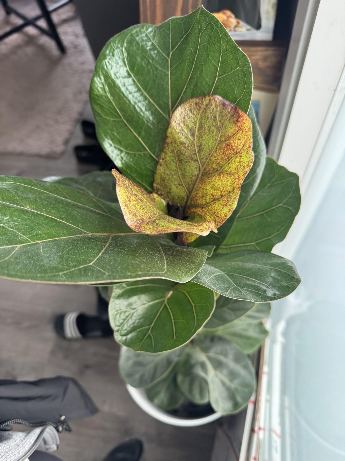 Help appreciated π Help appreciated π