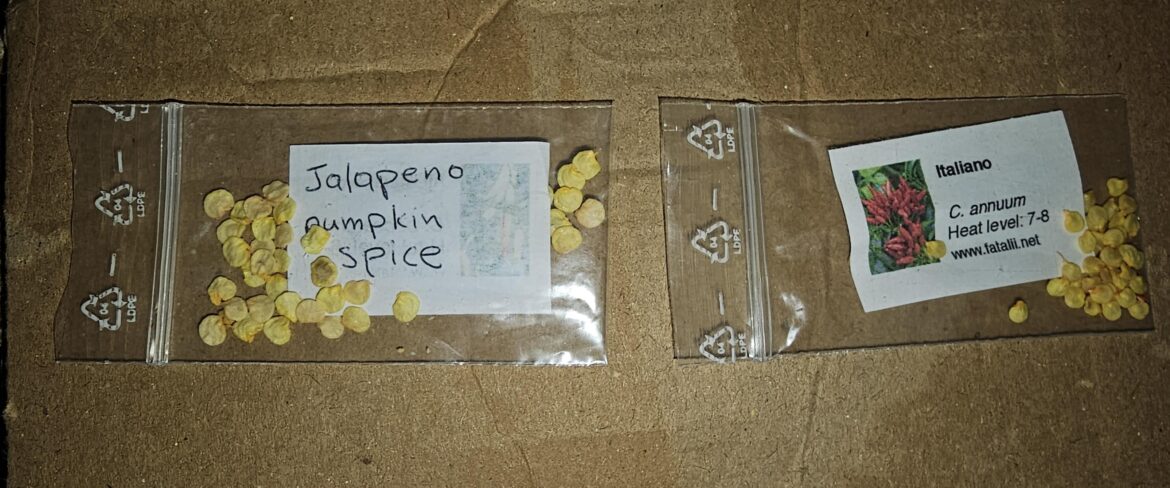 I was sent two different types of pepper seeds by someone. How do I plant them correctly? I don’t wanna make any mistakes. They told me to put them in a wet cotton indoors for about 1 week until they grow roots and then plant them in soil. What do you recommend? I’m in Greece if it helps answer I was sent two different types of pepper seeds by someone. How do I plant them correctly? I don't wanna make any mistakes. They told me to put them in a wet cotton indoors for about 1 week until they grow roots and then plant them in soil. What do you recommend? I'm in Greece if it helps answer