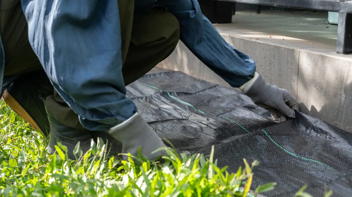 Yahoo lifestyle home