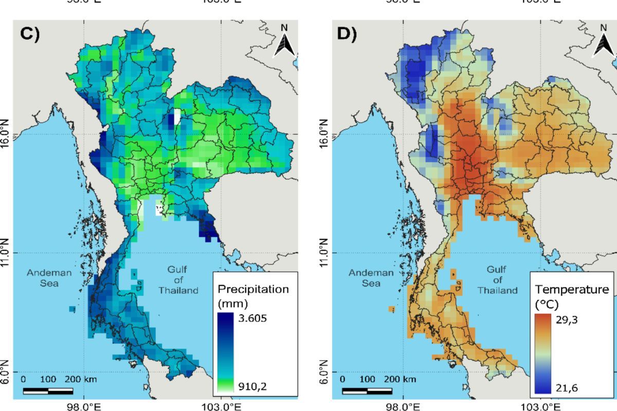 Thailand's love for urban gardening | News by Thaiger