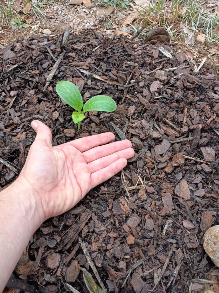 I know I shot the gun too early