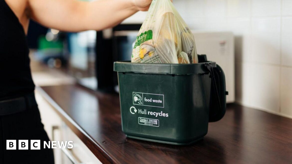 How food waste is helping Hull’s community gardens to grow A person is placing a green food recycling bag, full of food waste, into a green Hull city council food waste caddy. The caddy is placed on a kitchen worktop.