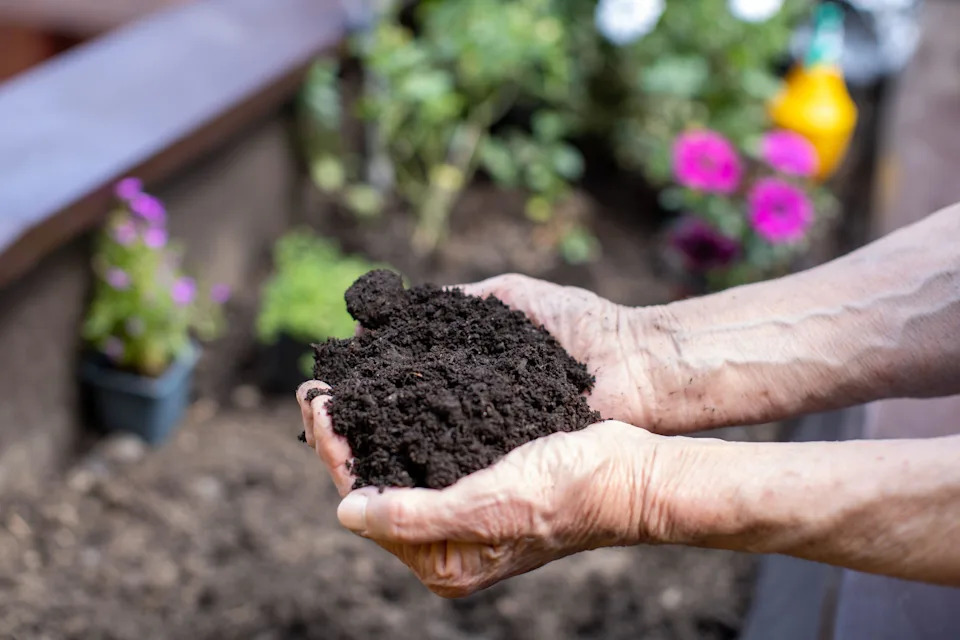 A woman holding a handful of soil (Alamy/PA)