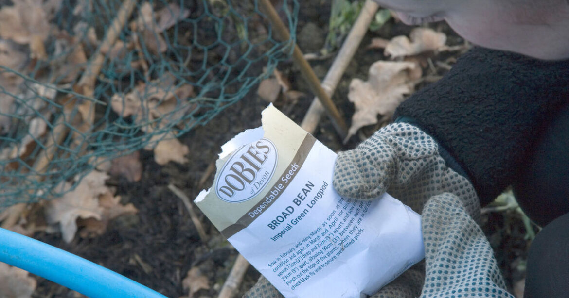 The 10 must-do gardening jobs for February