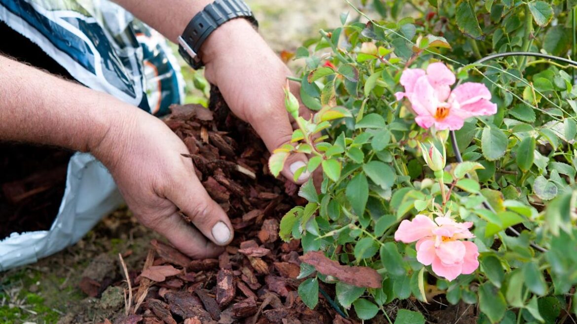 Here’s the Best Time to Mulch for Winter, According to an Expert