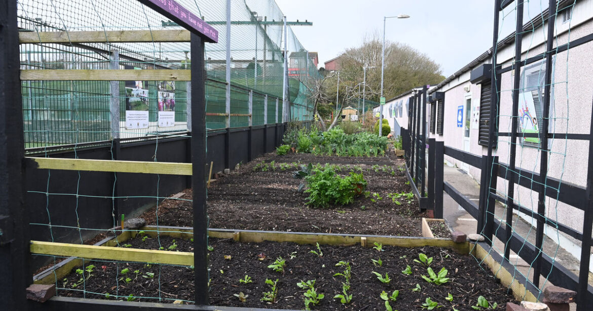 Cork community gardens to be highlighted at national event 