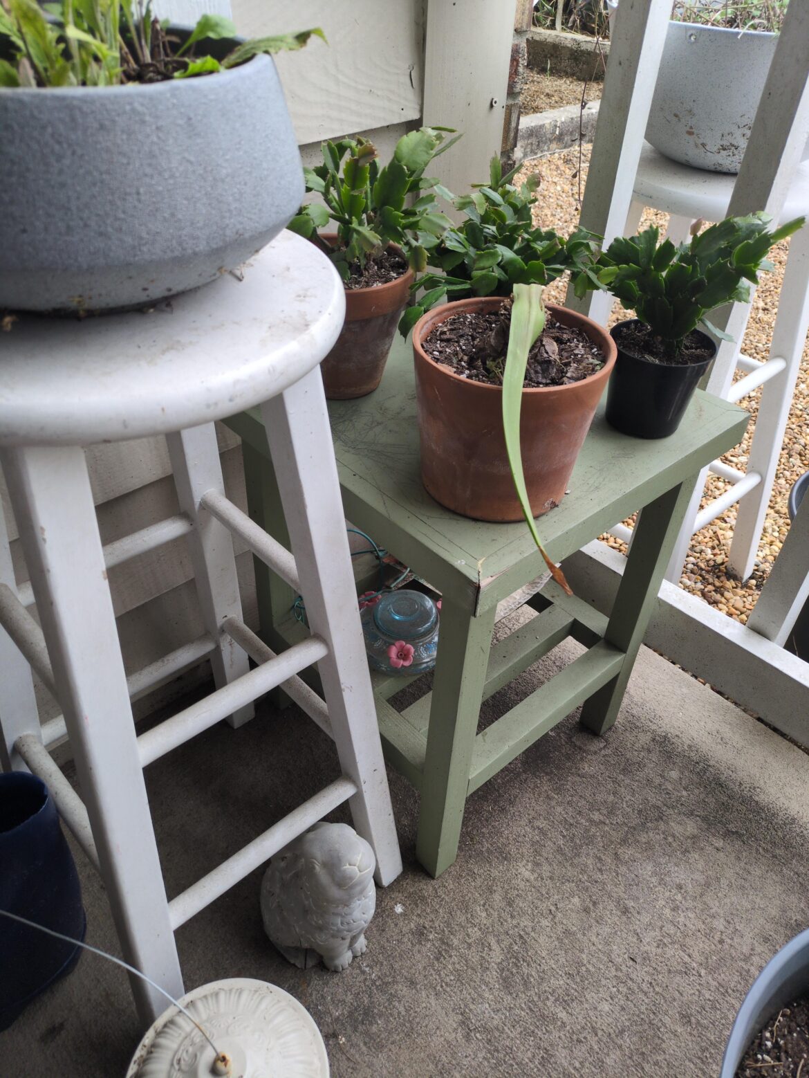 Fave tools for apartment gardening builds? Fave tools for apartment gardening builds?