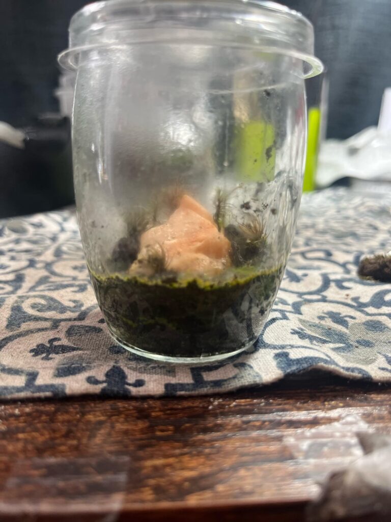 Should I leave as it or change it up a bit