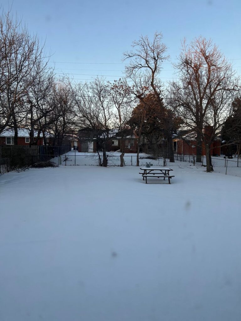 Power company “trimmed” our trees