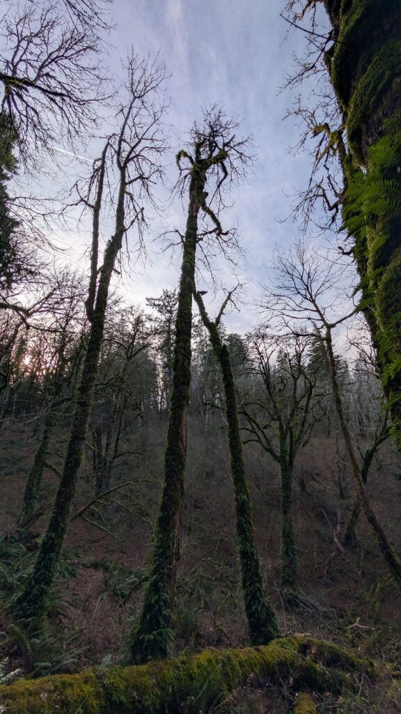 Best way to deal with a huge widow maker