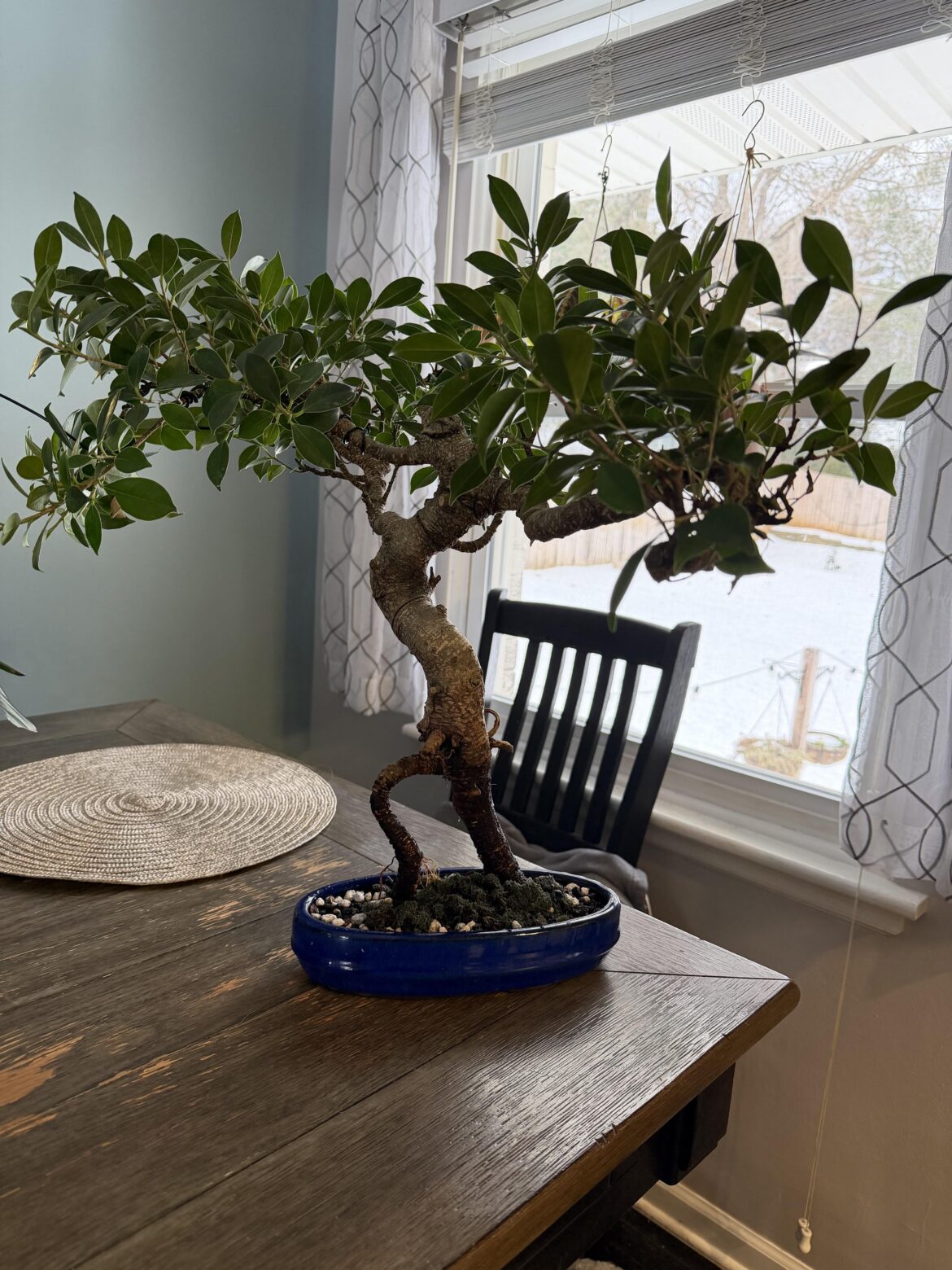 Is this pot the right size?