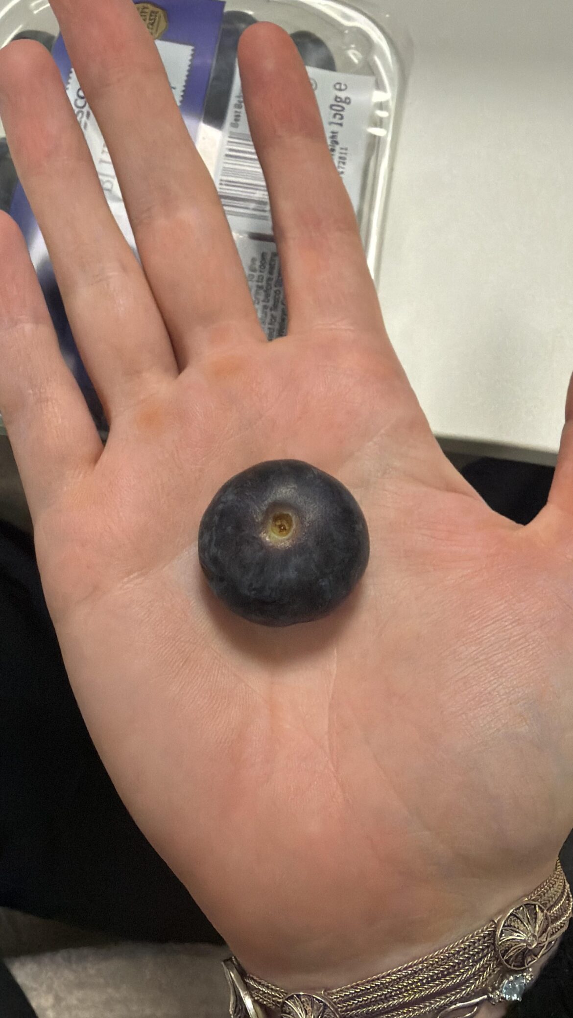 Giant blueberries from Morocco (bought in Tesco)