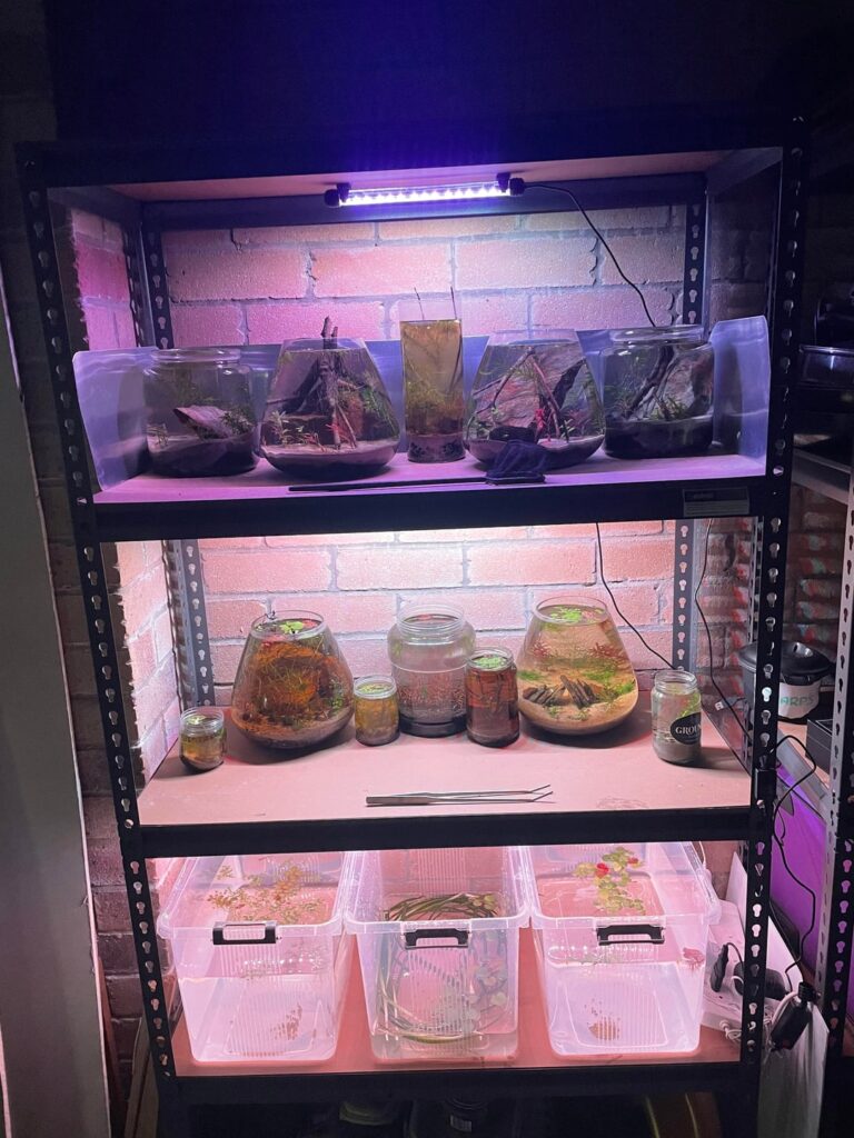 Sooo, someone didn’t stop me from buying jars…. Sooo, someone didn’t stop me from buying jars….