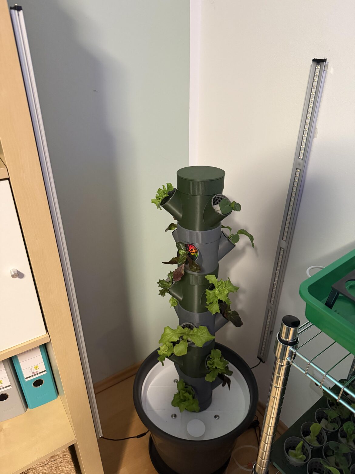 Light Setup