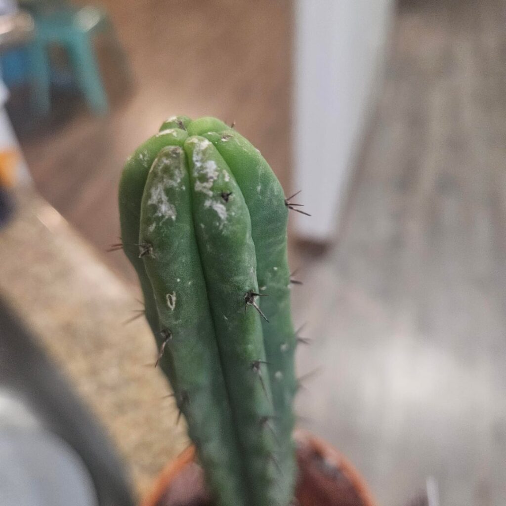 Diagnosis? Diagnosis?