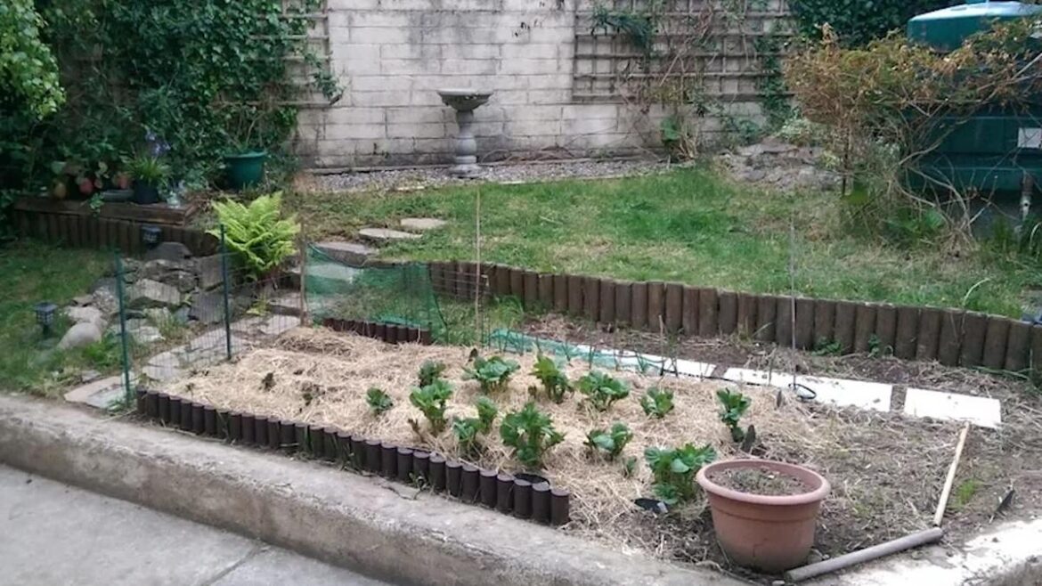 'The difference a couple of years makes'