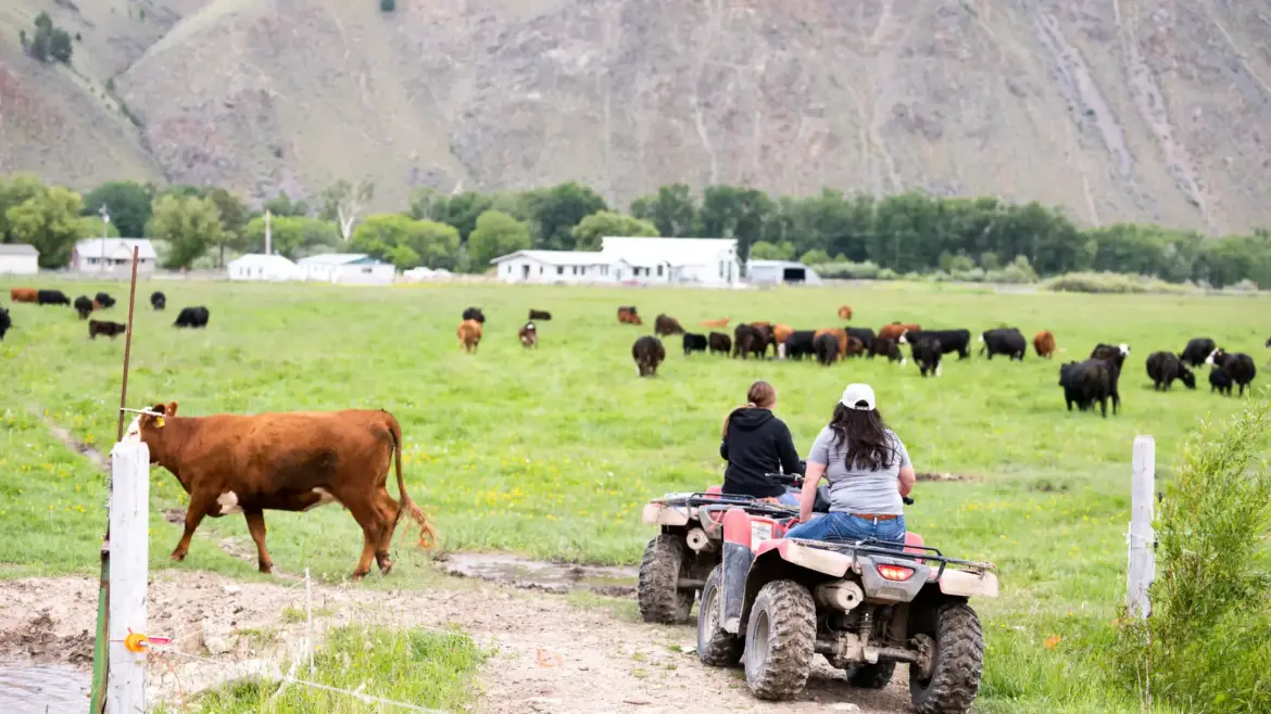 Nancy M. Cummings Research, Extension and Education Center Peter Krell, a senior food scientist with Chobani, is pictured at the company’s plant in Twin Falls, Idaho.