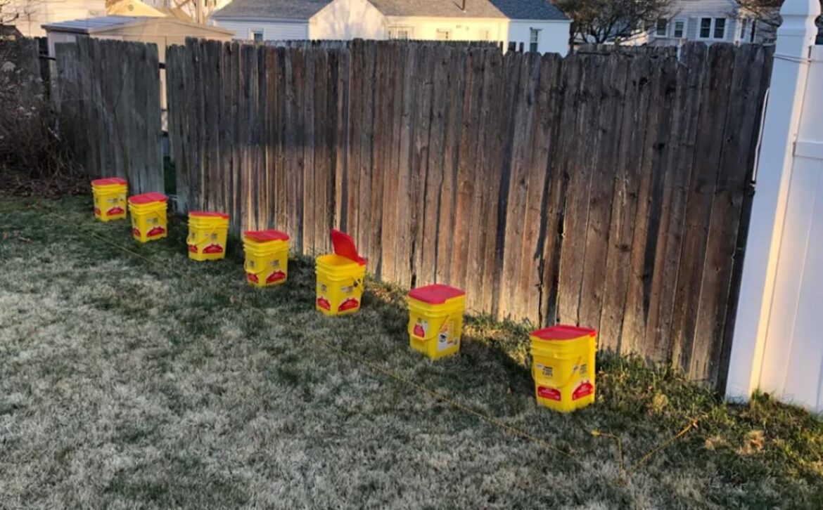 Homeowner shares how unusual product helped transform their backyard: 'First time doing this...'