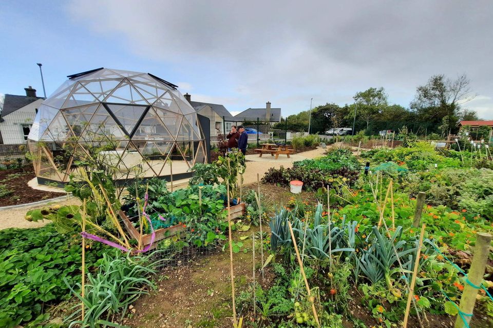 Enniscorthy Community Allotments.